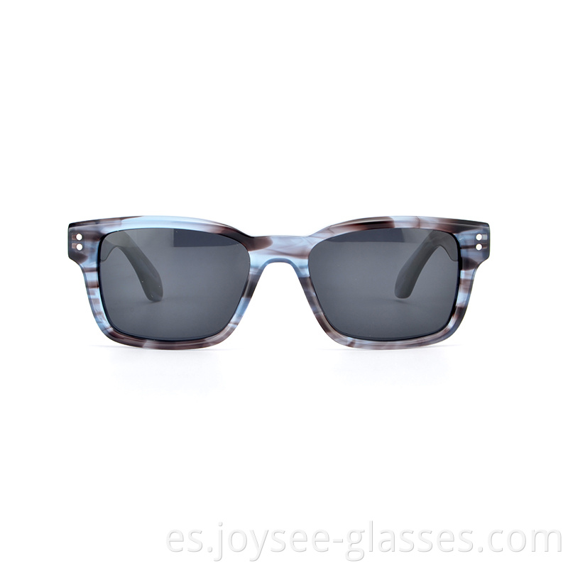 Demi Acetate Sunglasses 7